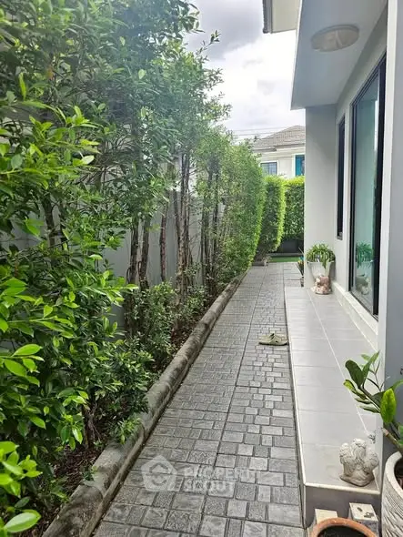 Charming garden pathway beside modern home with lush greenery