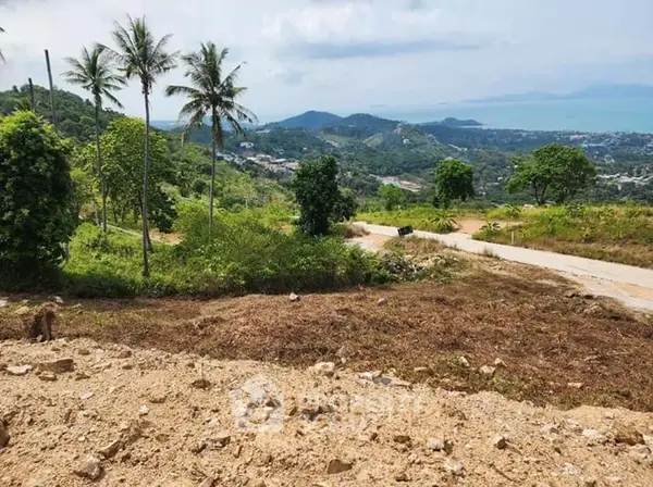 image_rental-13647453