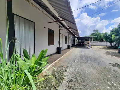 image_rental-26846945