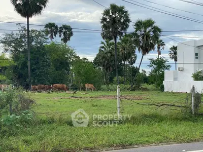 Scenic view of lush greenery with cows grazing near modern building