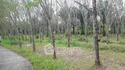 Expansive land plot with lush greenery and mature trees, ideal for development or investment.