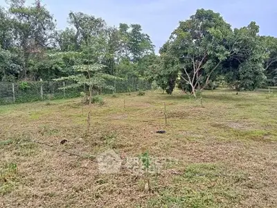 image_rental-30842294