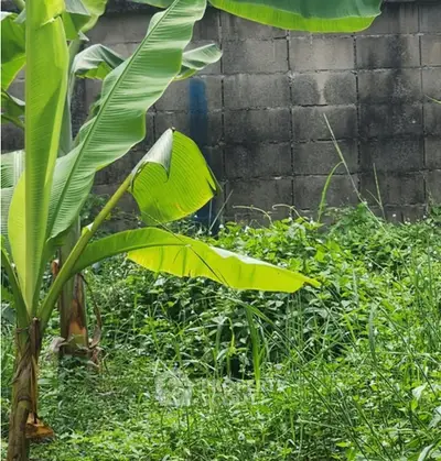 Screenshot 2568-12-24 at 10.55.38.jpg