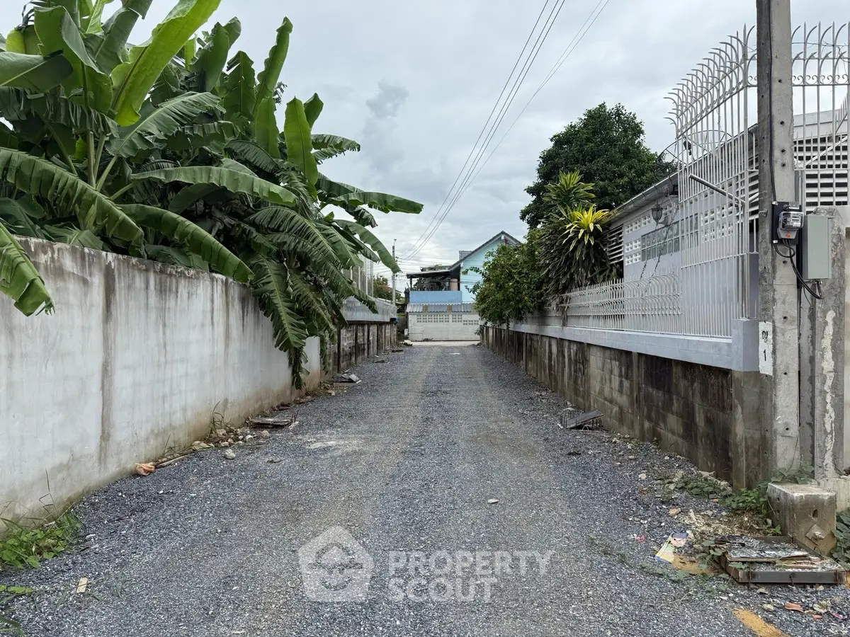 Narrow gravel alleyway with lush greenery and residential fences
