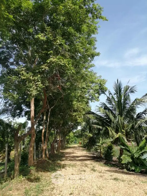 image_rental-16982561