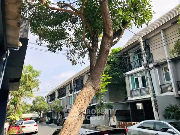 image_rental-31563906