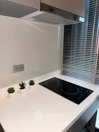 Modern kitchen with sleek induction cooktop and stylish blinds