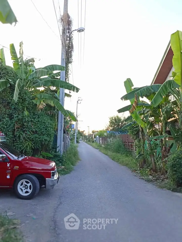 Charming rural street view with lush greenery and a parked vehicle, ideal for serene living.