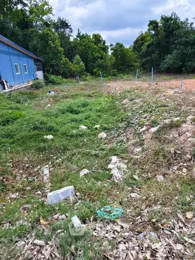 Vacant land with potential for development surrounded by lush greenery and a nearby building.