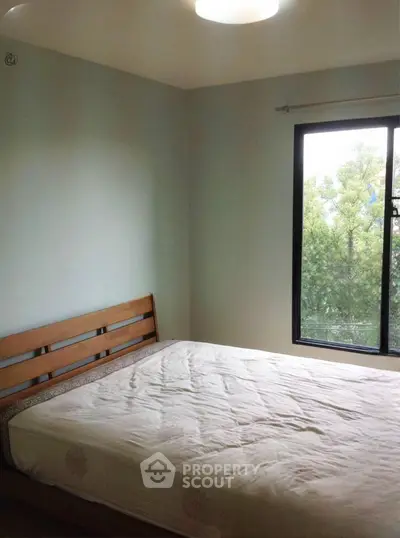 image_rental-30651709