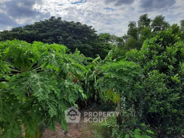 image_rental-13893094