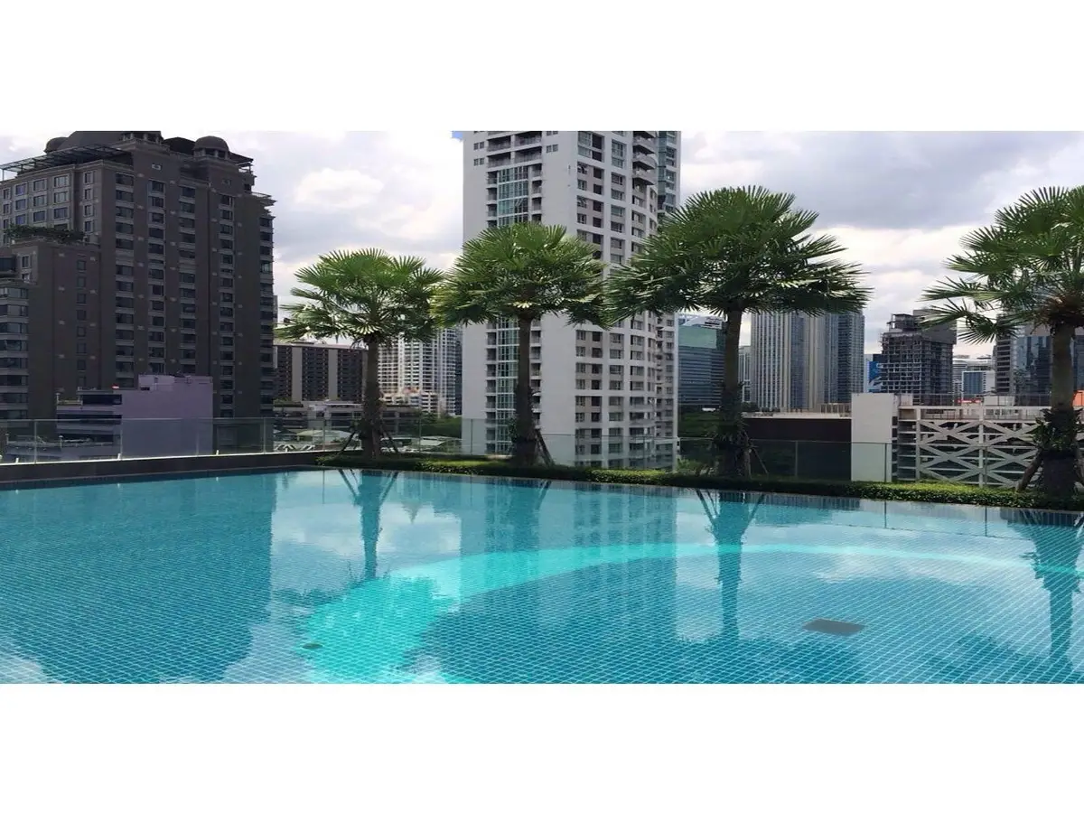 Luxurious rooftop pool with stunning city skyline views and palm trees, perfect for urban relaxation.