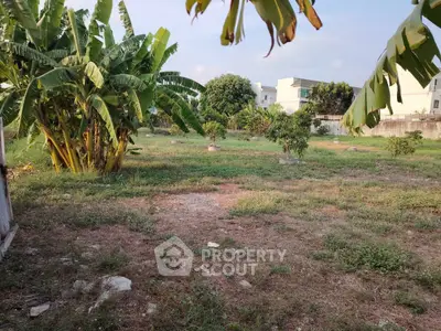 Spacious garden plot with lush greenery and banana trees, ideal for landscaping or development.