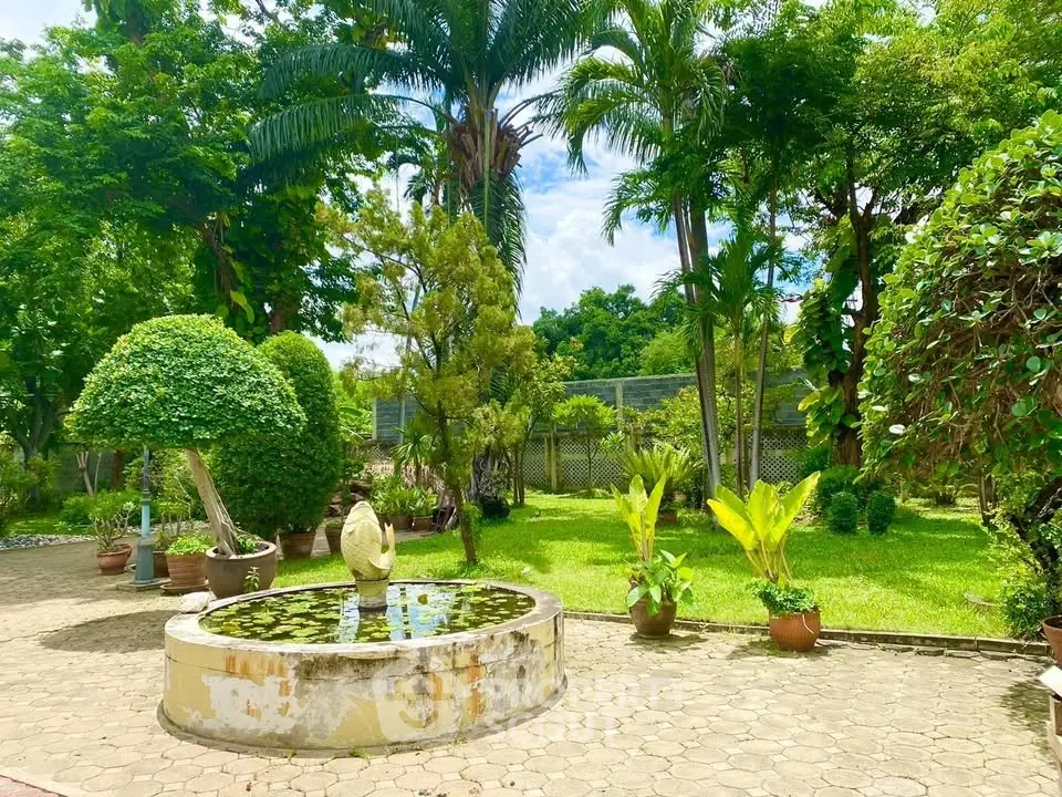 Lush garden with a charming fountain and vibrant greenery, perfect for relaxation and outdoor enjoyment.