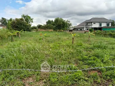 Spacious green land plot with potential for development near residential area