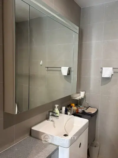 Modern bathroom with sleek sink and large mirror in contemporary apartment.
