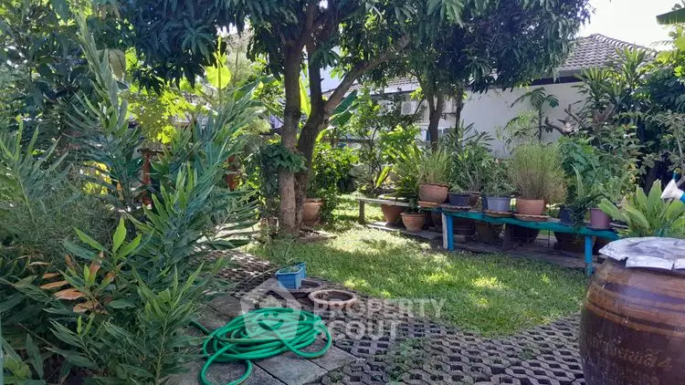 Lush garden with potted plants and trees, perfect for outdoor relaxation.