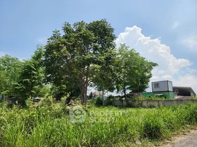Spacious land plot with lush greenery and clear blue sky, ideal for development opportunities.