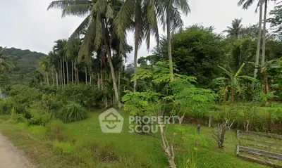 image_rental-28547091