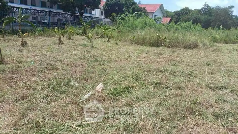 Expansive land plot with lush greenery and distant building, ideal for development opportunities.