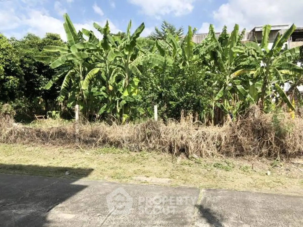 Lush garden view with banana trees and clear blue sky, perfect for serene living.