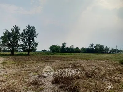 Expansive vacant land with trees, perfect for development opportunities.