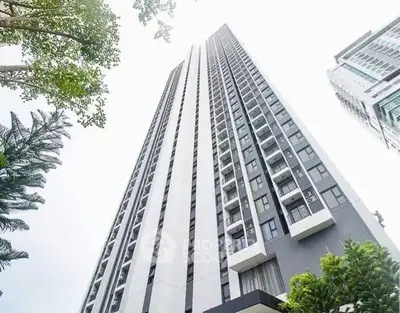 image_rental-30485887