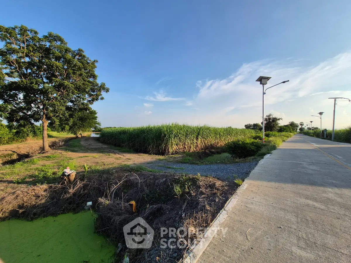 Expansive land plot with lush greenery and clear blue sky, ideal for development opportunities.