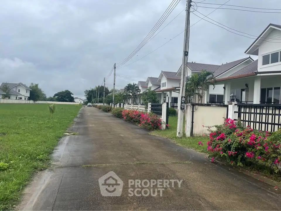 Charming suburban street with modern houses and lush greenery, perfect for family living.