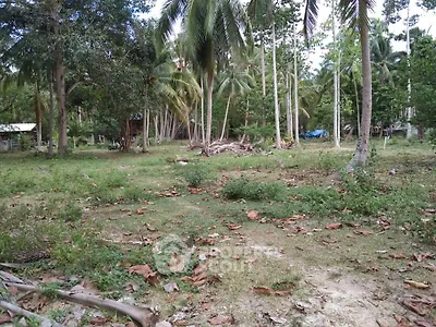 image_rental-13656149