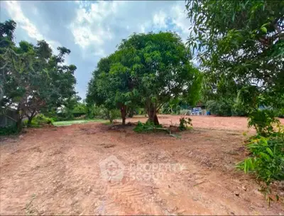 Spacious land plot with lush trees, perfect for development or agriculture.