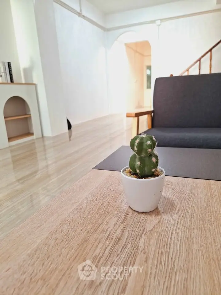 Modern living room with stylish wooden flooring and cozy seating area, featuring a decorative cactus centerpiece.