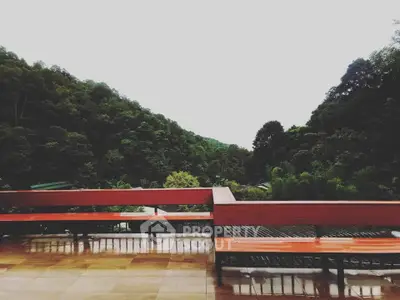 Scenic balcony with stunning forest view, perfect for relaxation and nature lovers.