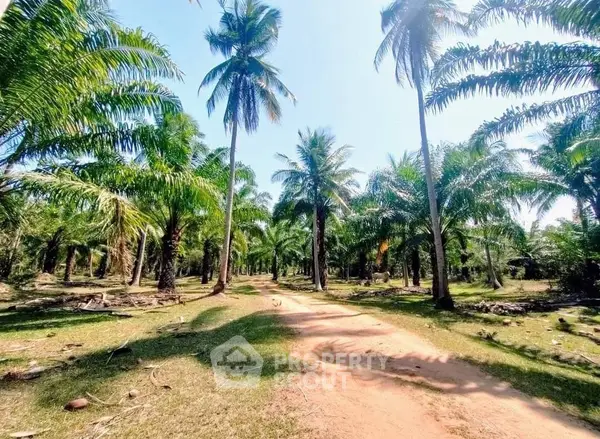 image_rental-17834783