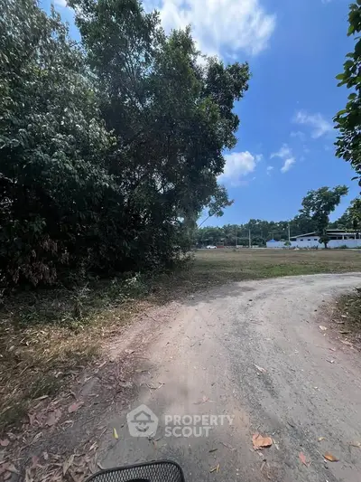 Scenic rural land with trees and clear blue sky, ideal for development or investment.
