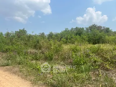 Expansive land plot with lush greenery under a clear blue sky, ideal for development opportunities.