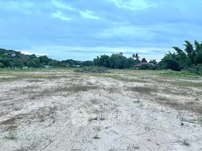 Expansive vacant land with lush greenery, perfect for development opportunities.