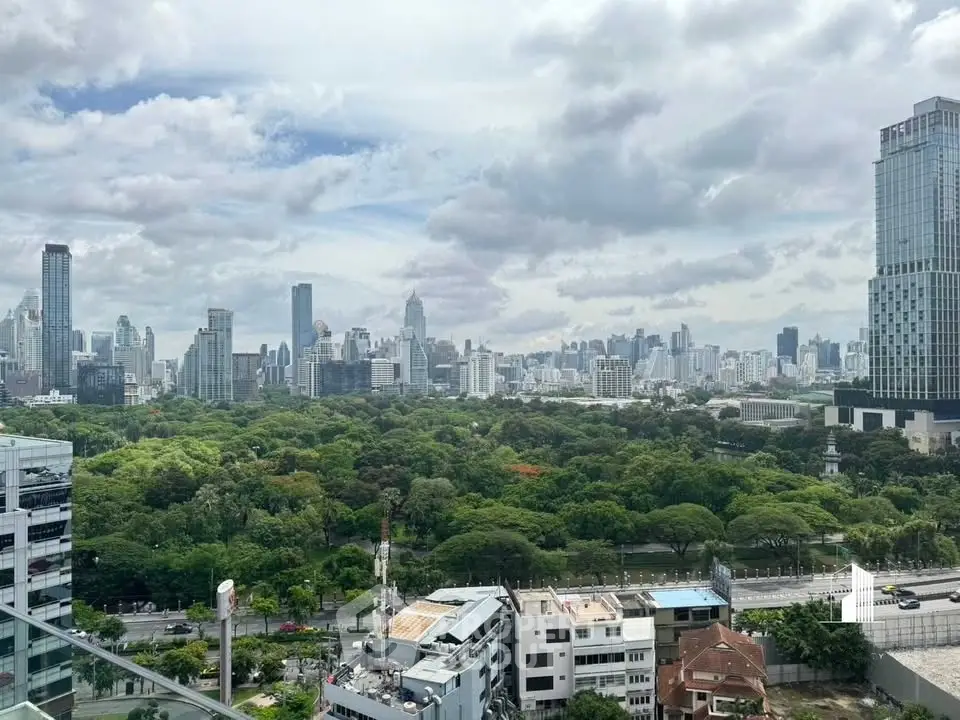 Stunning cityscape view with lush green park and skyline