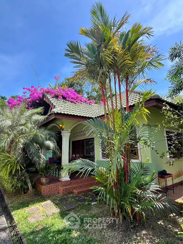 image_rental-28249190