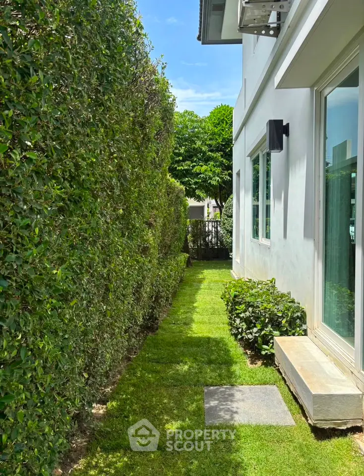 Charming side garden with lush greenery and modern house exterior, perfect for relaxation and privacy.