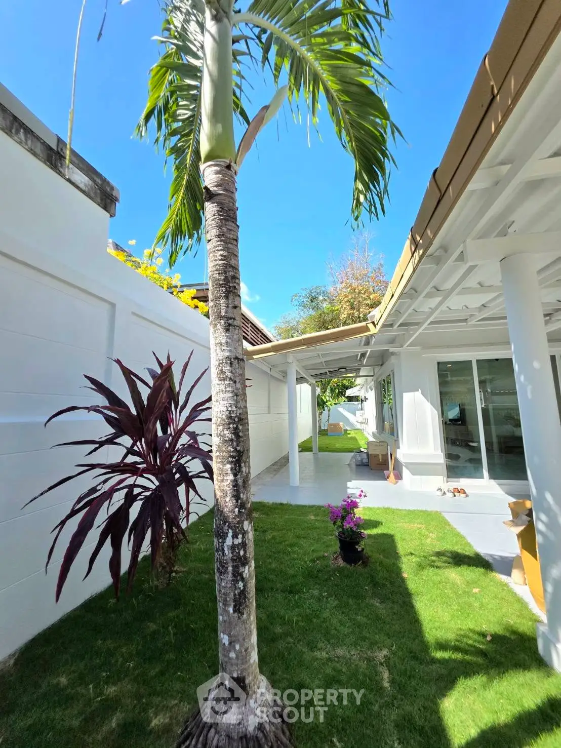 Stunning tropical garden view with modern white exterior and lush greenery