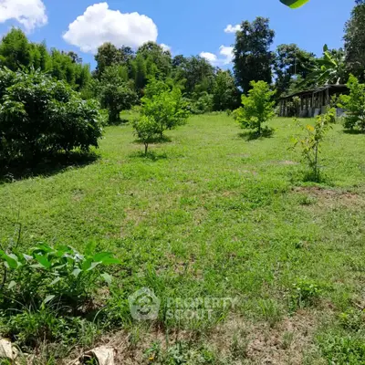 Lush green land with young trees, perfect for development or agriculture, under a clear blue sky.