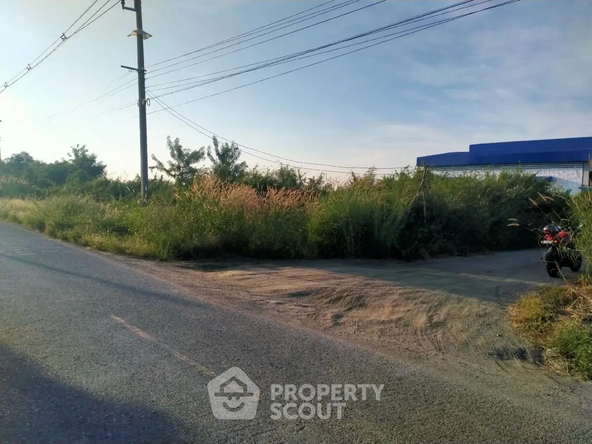 Vacant land plot with road access and lush greenery, ideal for development opportunities.