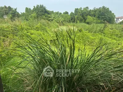 Lush green landscape view with dense vegetation and distant houses, ideal for nature lovers.