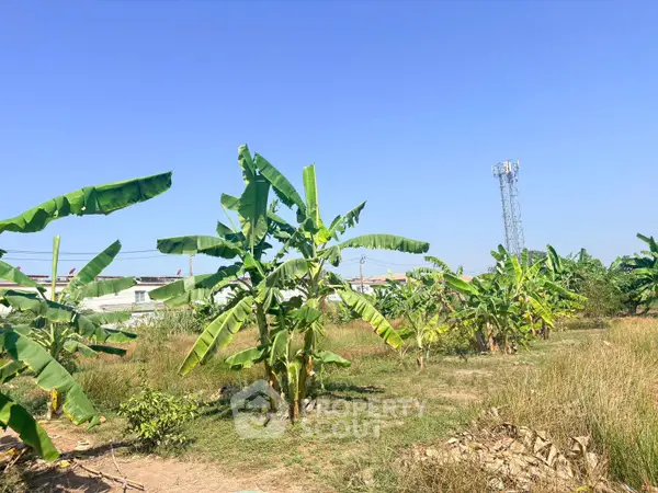 image_rental-30151747