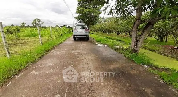 image_rental-29592907