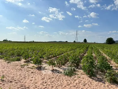 image_rental-27678609