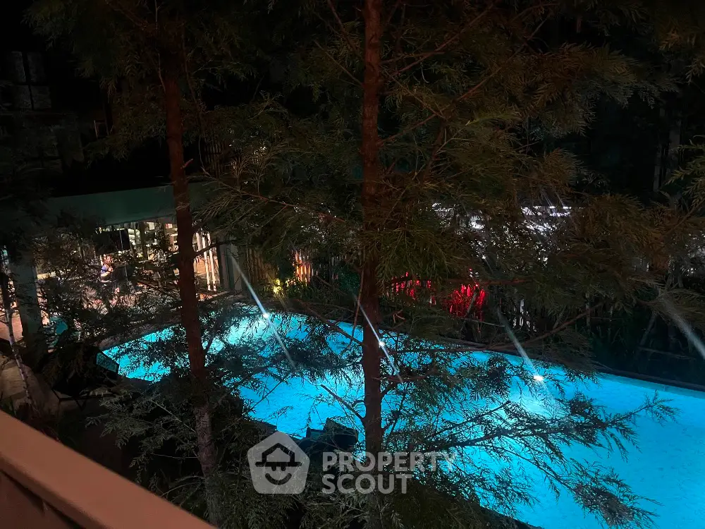 Luxurious night view of illuminated swimming pool surrounded by lush greenery in upscale property.