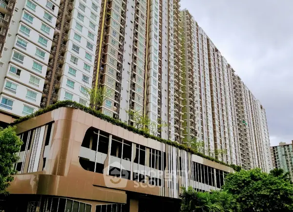 image_rental-30557919