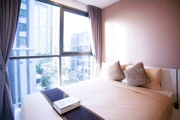 image_rental-20193692